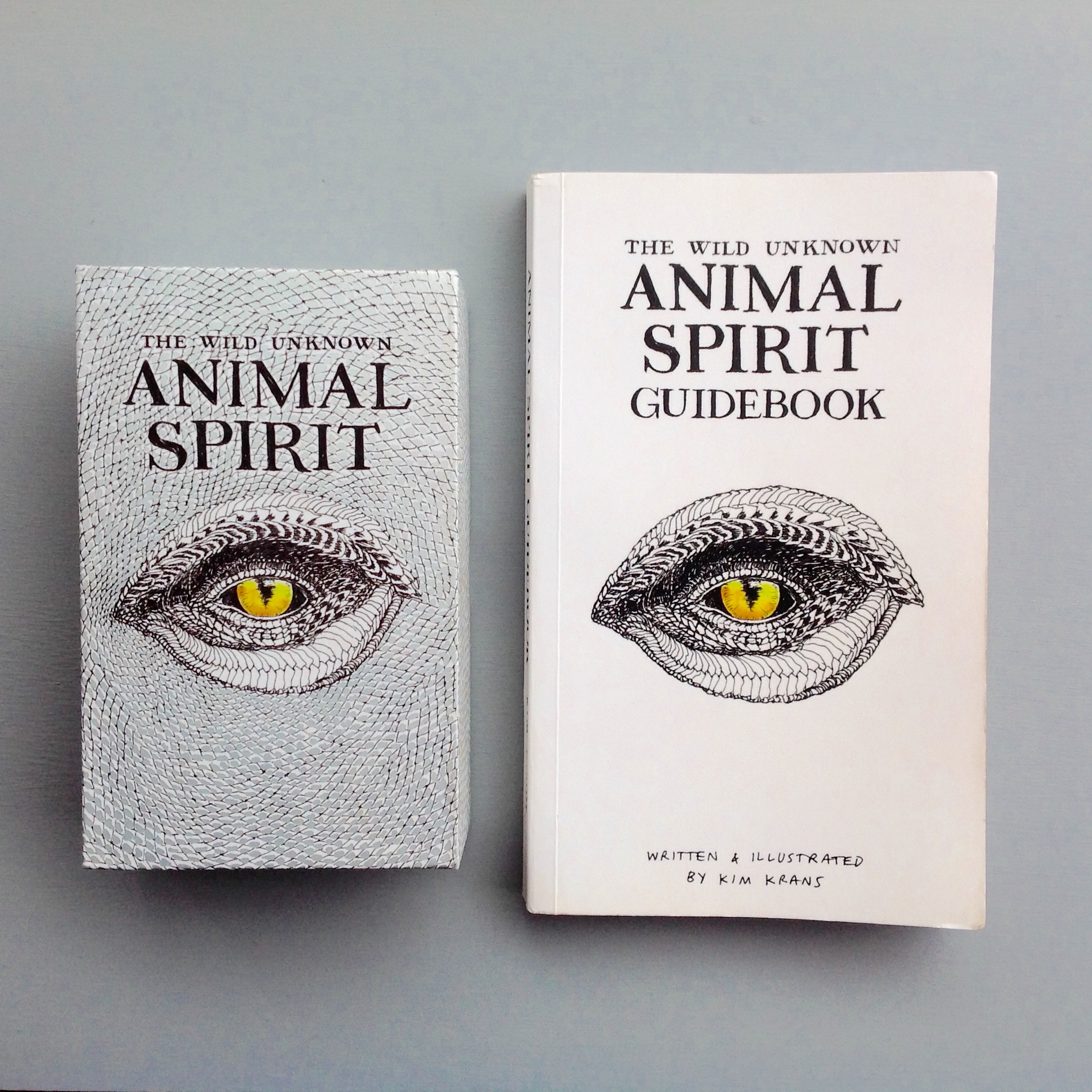 Spirit Animal Deck and Guidebook – Dina Varano